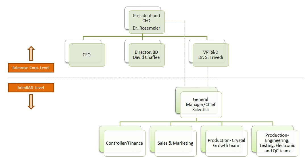 Executive Chart